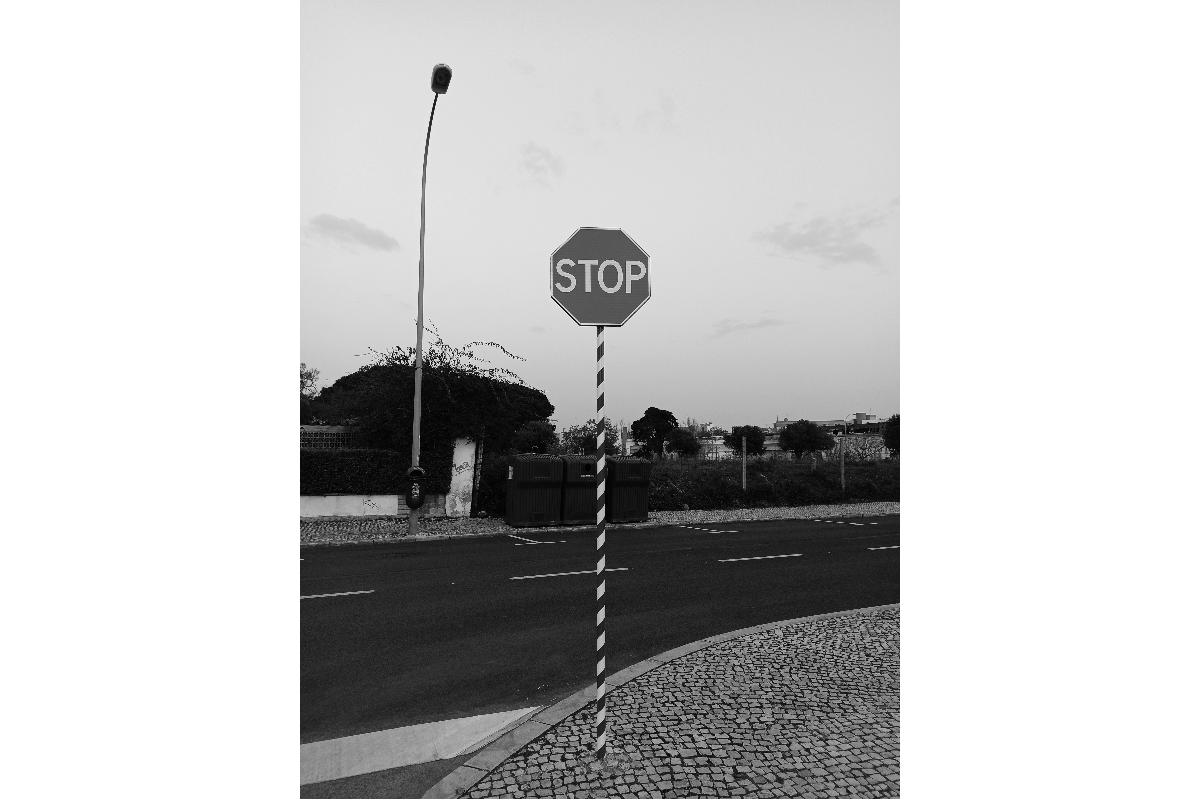 Stamina & Sensation: A Gentleman's Guide to Edging